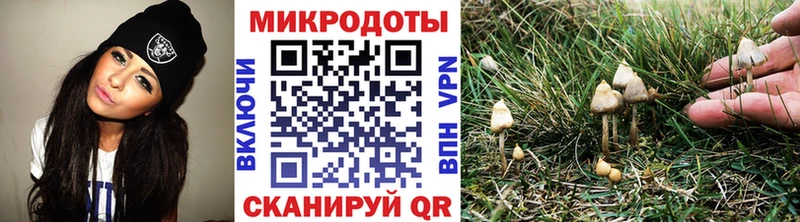 как найти наркотики Петровск Псилоцибиновые грибы прущие грибы